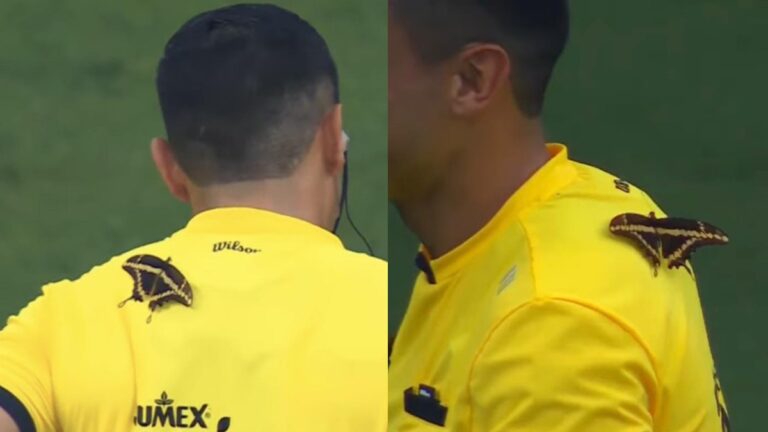 Impactante Momento: Mariposa se Posó en el Árbitro Durante el Partido Rayados vs San Luis