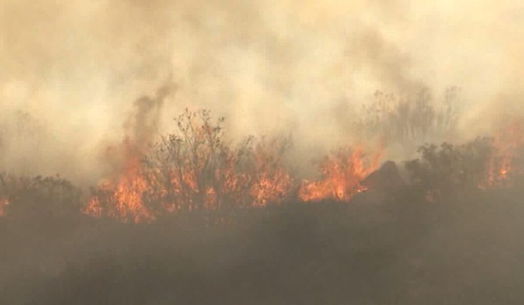 Aumento del Riesgo de Incendios en San Diego: Calor y Sequía Extremen Precauciones