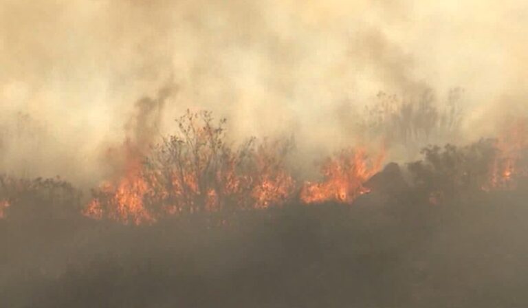 Aumento del Riesgo de Incendios en San Diego: Calor y Sequía Extremen Precauciones
