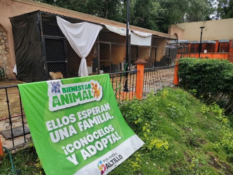Parque Urdiñola en Saltillo: ¡Descubre el nuevo espacio Pet Friendly!
