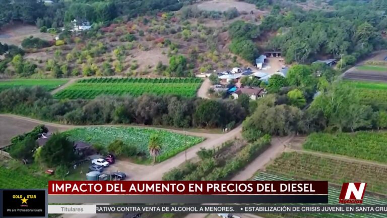 Guerra Irán: Impacto De La Guerra En Precios De Combustible Y Agricultura