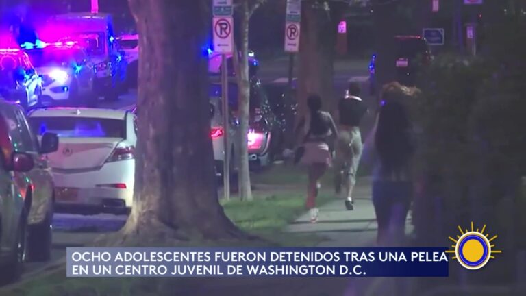 Pelea Masiva Genera Preocupación En Washington DC