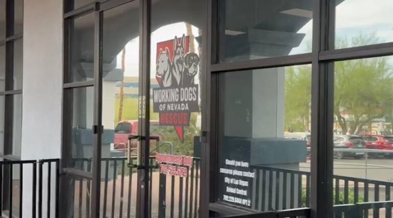Maltrato Animal en Nevada: Arrestan a Dos por Tortura Canina