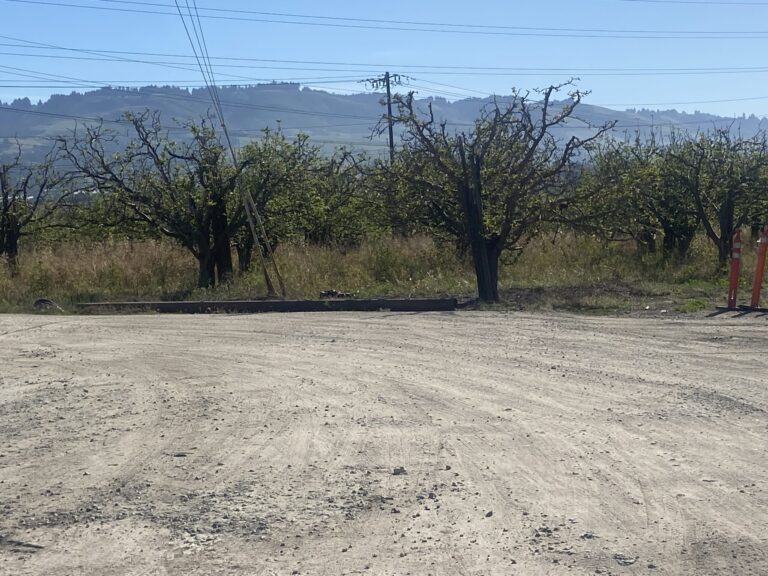 Preocupación en Watsonville por proyecto de planta de almacenamiento de baterías