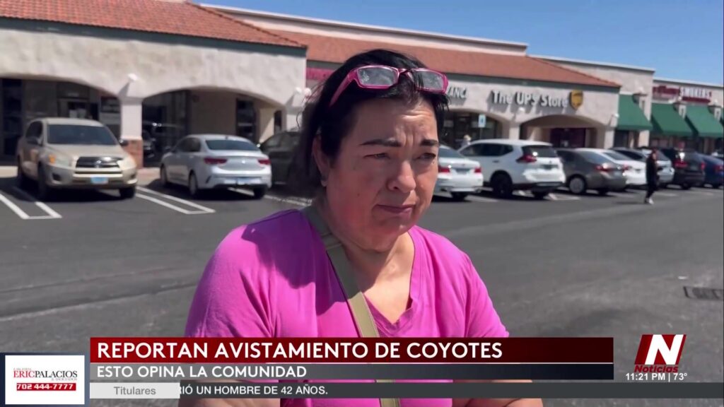 Coyotes en Las Vegas: Crece Preocupación por Aumento de Avistamientos