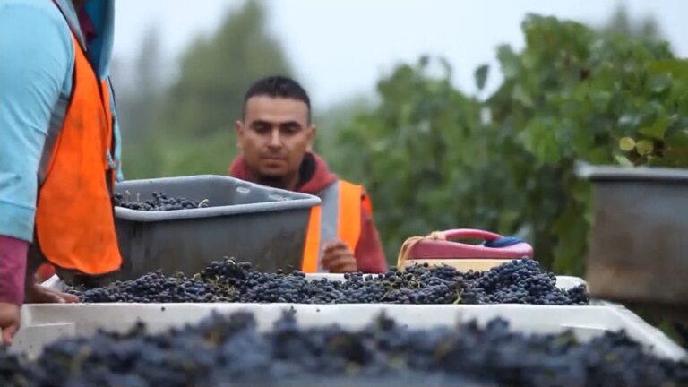 Aumenta el desempleo en Monterey y refuerzan ferias de empleo