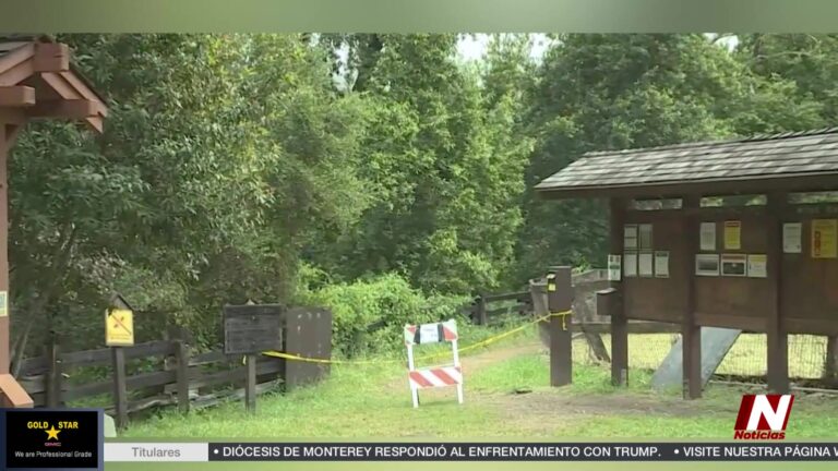 Monterrey: Misterioso Cuerpo Encontrado: Investigación En Río Y Bosque