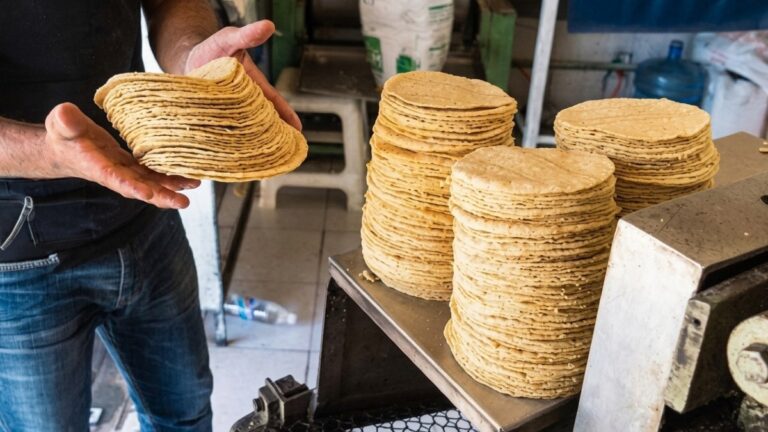 Aumento en el Precio de la Tortilla en Guadalajara: Claudia Sheinbaum Habla al Respecto