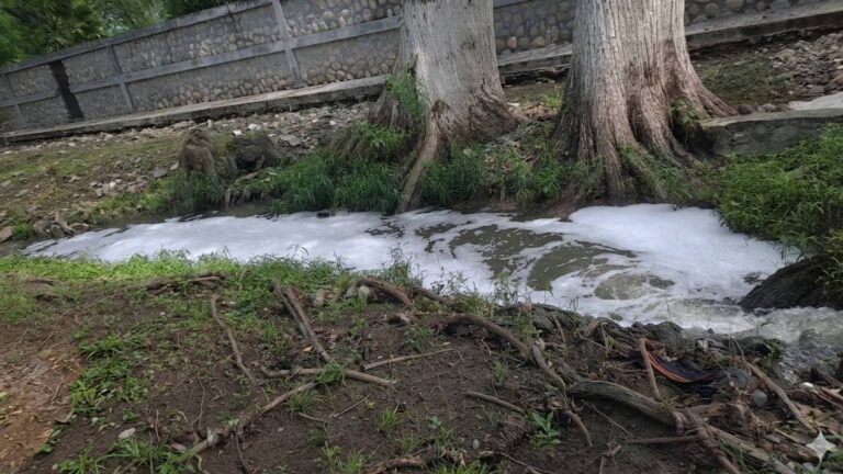 Contaminación Afecta el Arroyo Los Encinos en Allende, según Conagua