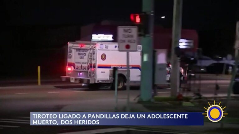 Tiroteo en Nueva York: Adolescente Muerto en Violencia Pandillera
