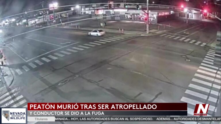 Accidente Fatal en Kitschland: Peatón Perece Tras Ser Atropellado