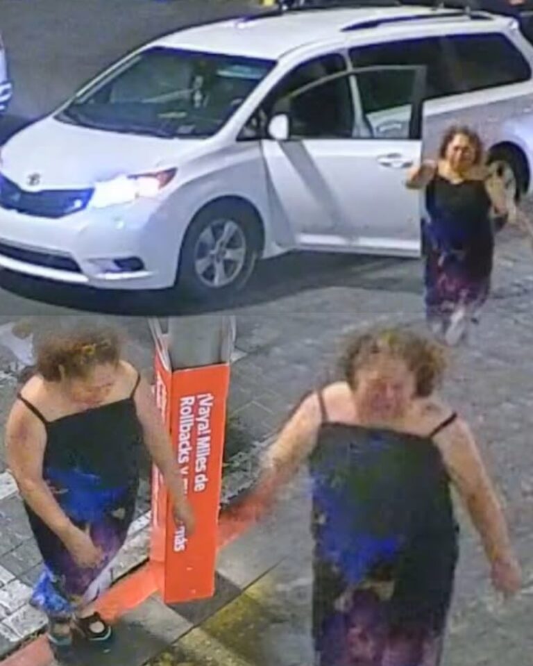 Robo de Perro de Servicio en Las Vegas: Crueldad Captada en Cámara