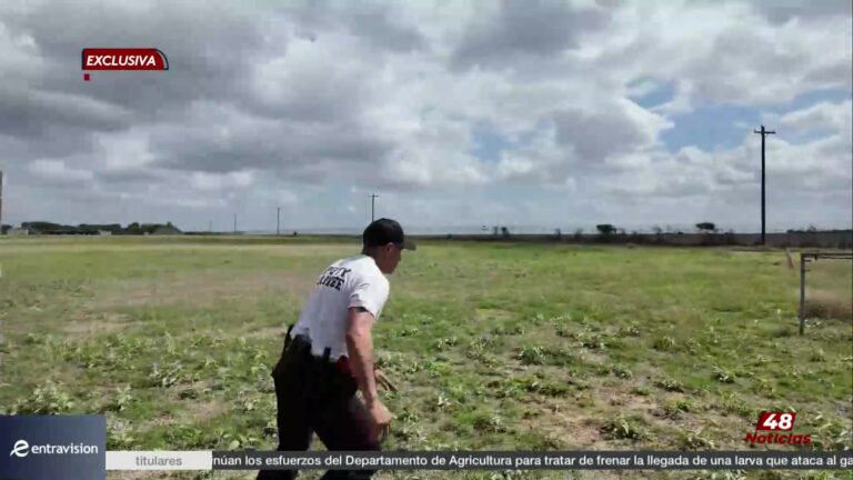 ¿Estás Listo para el Desafío de las Fuerzas del Orden en Hidalgo?