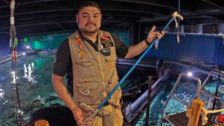 Descubre Emocionantes Vacantes en Acuario Michin Guadalajara: Desde Biólogos hasta Ventas