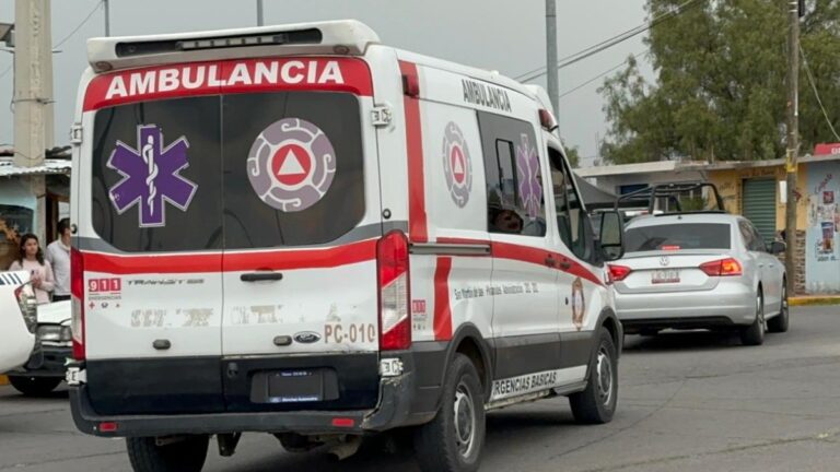 Ataque en Teotihuacán: Un Niño de 6 Años y su Madre Entre los Afectados