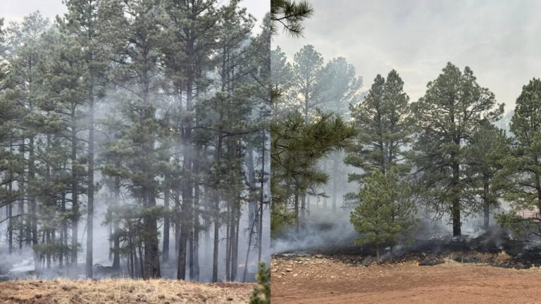 Incendio Forestal en Mora Obliga al Cierre de Carretera y Activa Alerta para Residentes