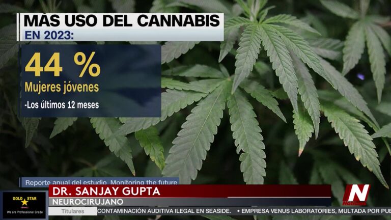 El Uso De Marihuana Medicinal Crece Entre Mujeres En Estados Unidos marihuana medicinal