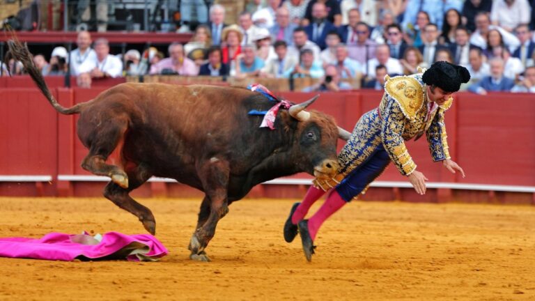 Torero Español Herido en Brutal Cornada Durante Espectáculo Taurino | VIDEO