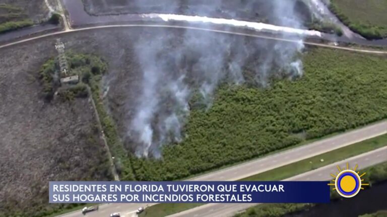 Lluvias Intensas: Intensas Lluvias, Nieve Y Tornado Dejan Secuelas En La Región