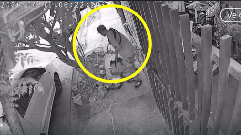 Impactante Robo en Torreón: Ladrones Captados por Cámaras de Vigilancia