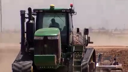 Virus transmitido por mosca blanca amenaza los cultivos de melón en Yuma County
