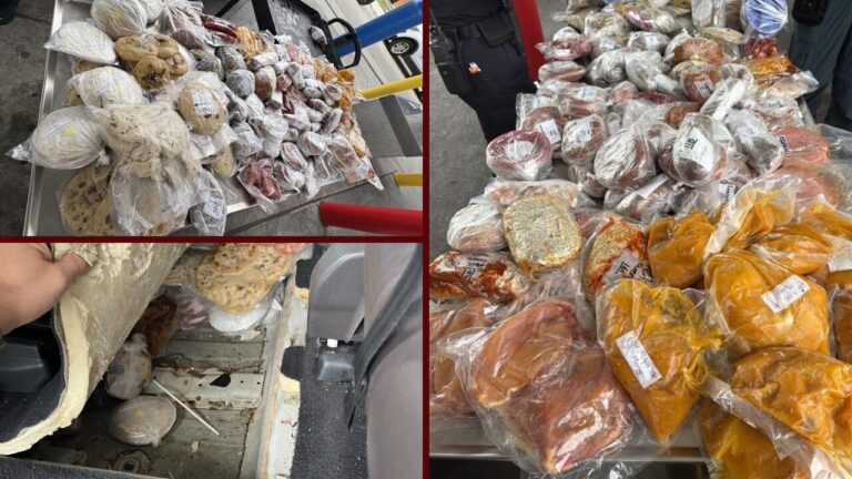 Impactante decomiso de cargamento ilegal en Laredo: Multa de $1,000 al conductor