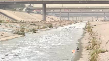 San Diego y UCSD Estudian Contaminación del Río Tijuana y su Impacto Ambiental