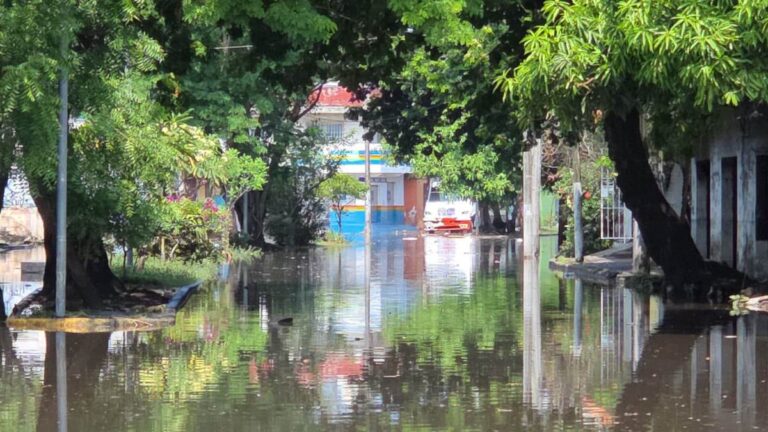 Tragedia en Veracruz: Inundaciones Arrebatan Dos Vidas Tras Fuertes Lluvias
