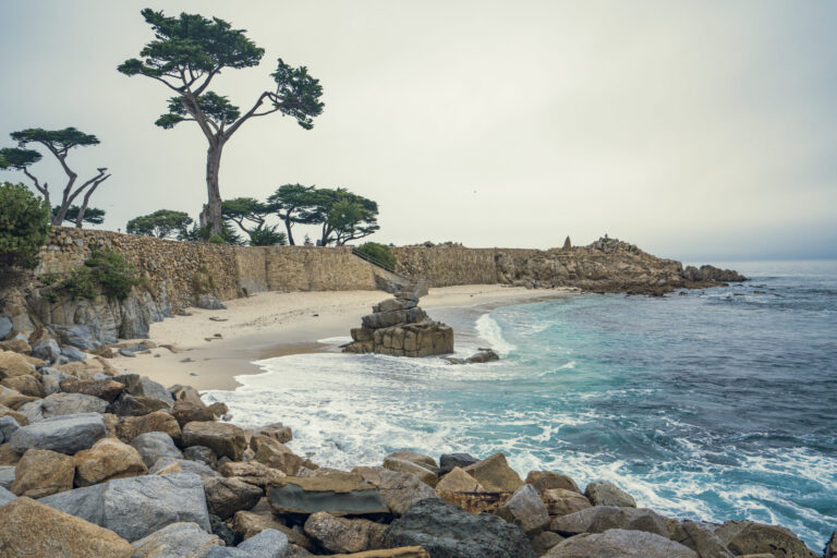Cierran temporalmente Lovers Point Beach tras hallazgo de una ballena sin vida