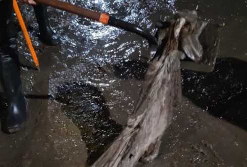 Coladeras de Villagrán Obstruidas por Chivo Muerto: Un Problema de Drenaje Emergente