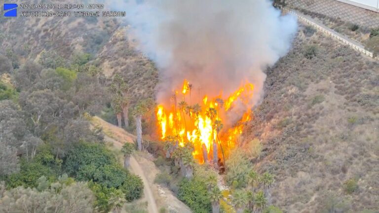 Drones en San Diego Facilitan la Rápida Captura de un Sospechoso de Incendio