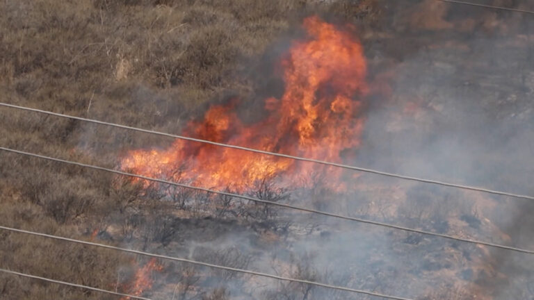 Presentan programa de seguridad y preparación ante incendios forestales en Monterey