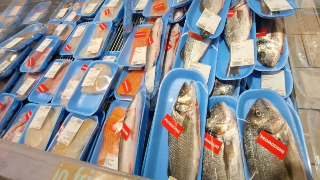 Alarmante Presencia de Bisfenol A en Pescado Guardado en Plástico