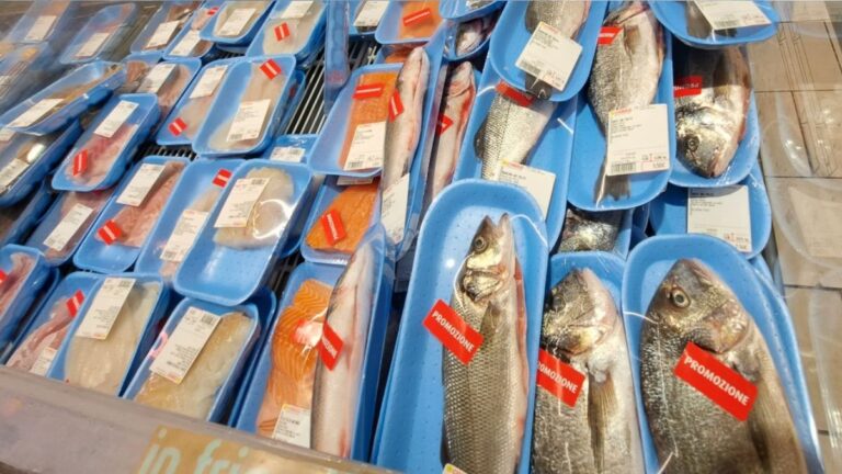 Alarmante Presencia de Bisfenol A en Pescado Guardado en Plástico