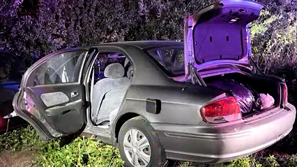Arrestan a cuatro sospechosos por robo en instalación de cannabis al sur de Salinas