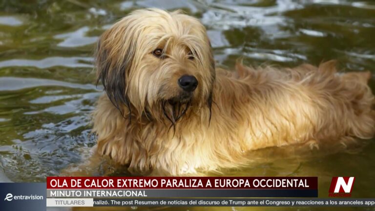Calor extremo: expertos alertan sobre un repunte global y el avance de la crisis climática