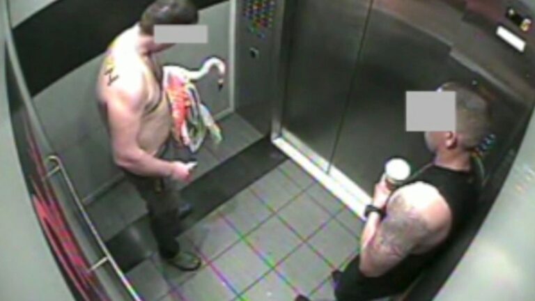 Abuso animal en Las Vegas: turista canadiense se declara no culpable tras presunta lesión a flamencos en el Strip