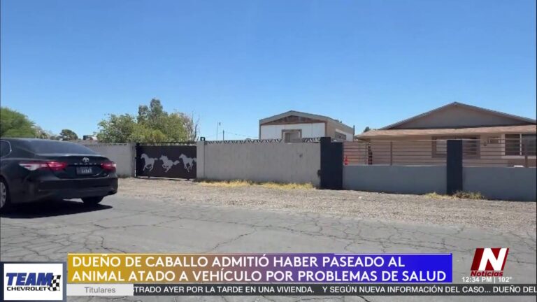 Maltrato animal en Las Vegas: investigan la muerte de un caballo tras ser arrastrado por una camioneta