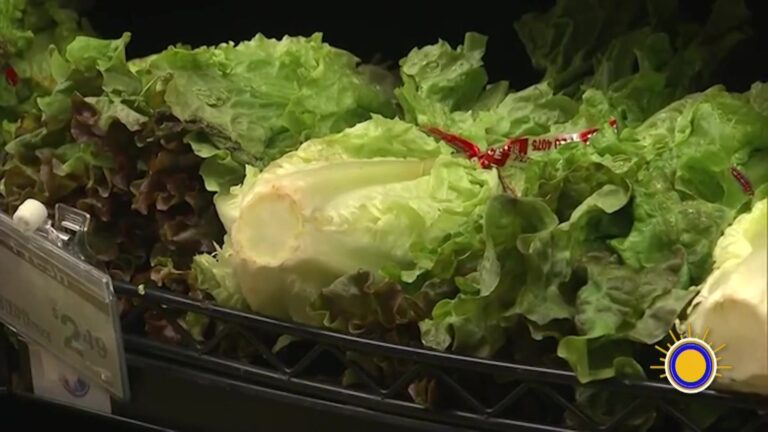 Brote de Ciclóspora: cómo protegerte de la contaminación en productos frescos este verano
