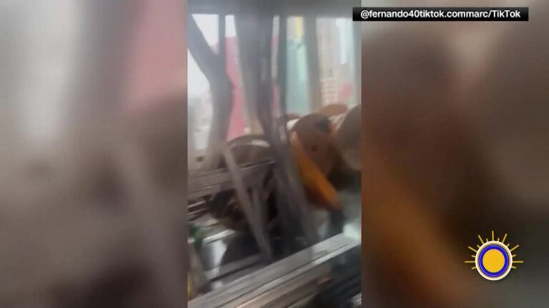 Rascacielos en Manhattan: autoridades mantienen alerta por deformación de columnas