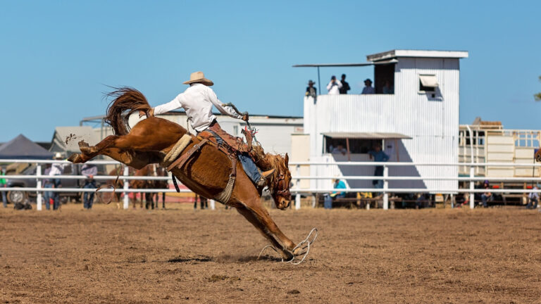 Con la monta de toros comienza el Rodeo de California en Salinas
