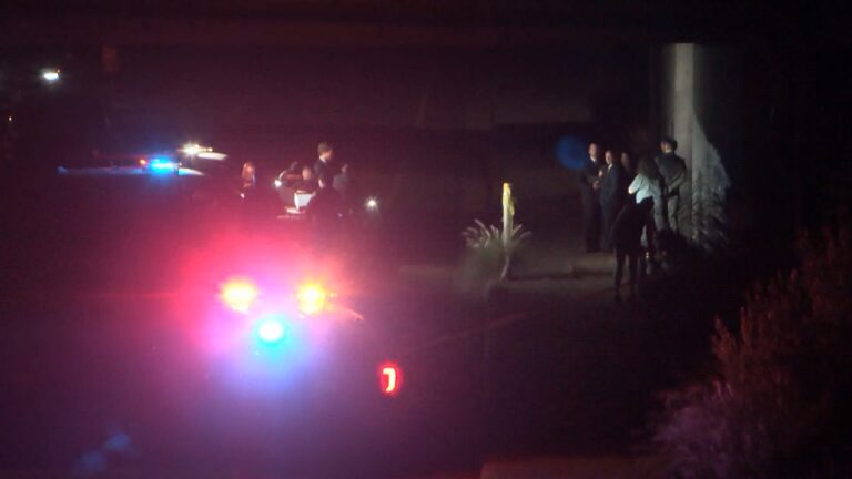 Homicidio en San Diego: arrestan a sospechoso tras ataque en campamento de Morena
