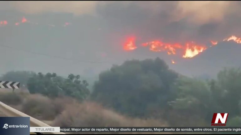 Incendio forestal en Almería deja 11 muertos mientras más de 150 bomberos luchan contra las llamas