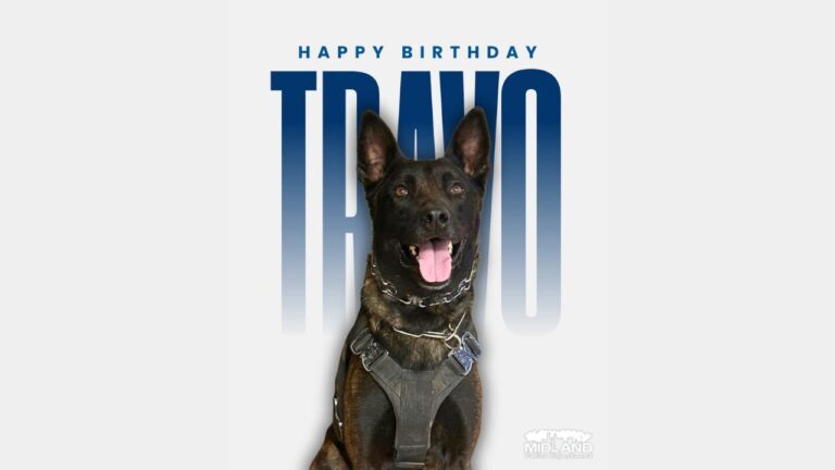 Departamento de Policía de Midland celebra el quinto cumpleaños de K9 Travo
