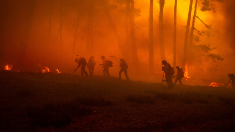 Incendio forestal en Monterey consume más de 120 acres cerca de Lockwood