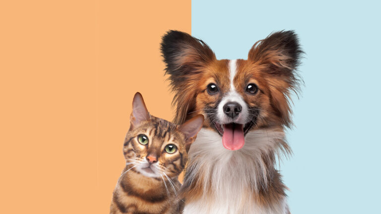 CVS ofrecerá medicamentos para perros y gatos en sus farmacias de todo Estados Unidos