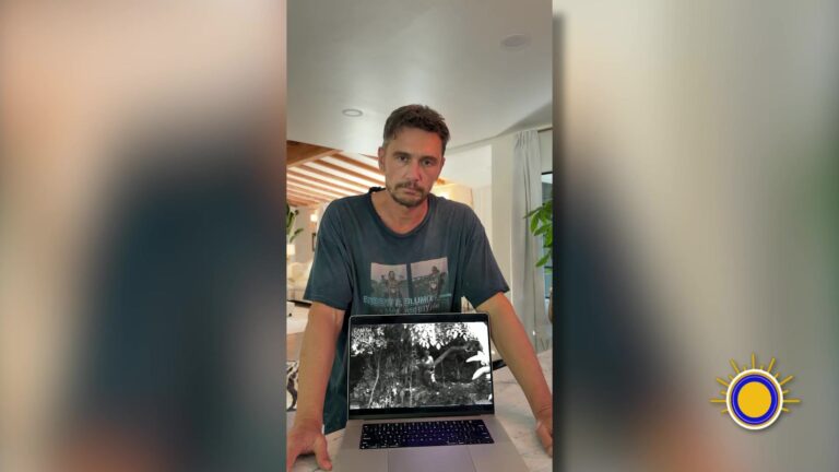 James Franco genera revuelo por videos sobre supuestos aliens en redes sociales