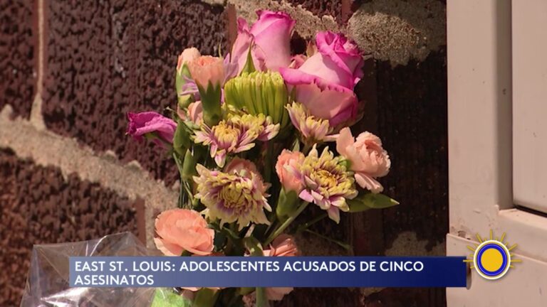 Illinois: dos adolescentes acusados por asesinatos en serie familiar en San Luis