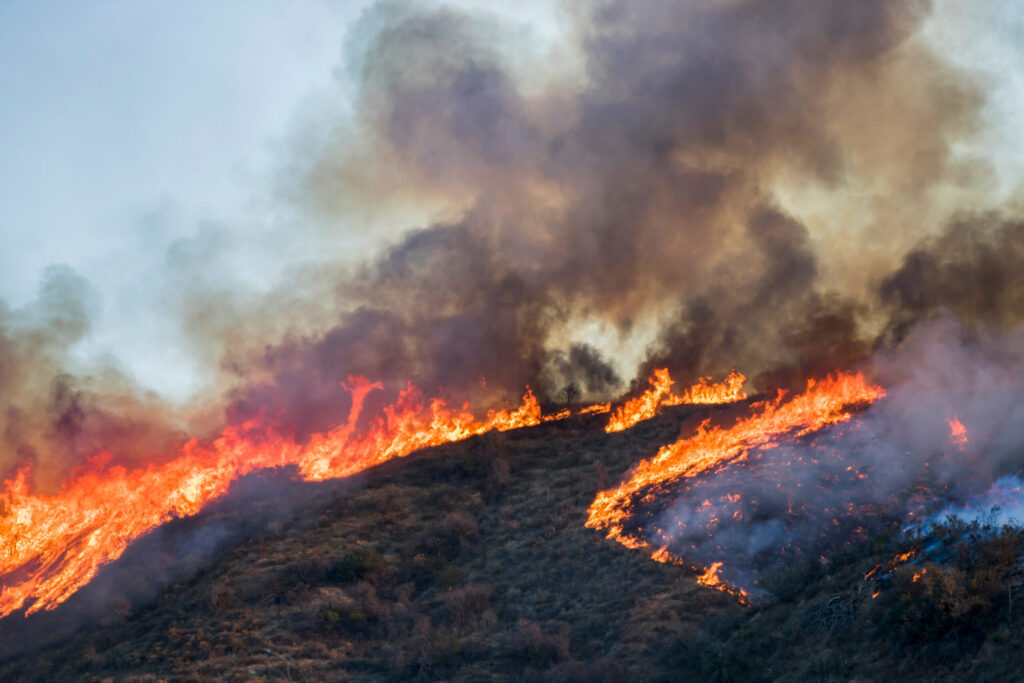 Incendio forestal al sur de Pleasanton provoca evacuaciones en el condado de Alameda