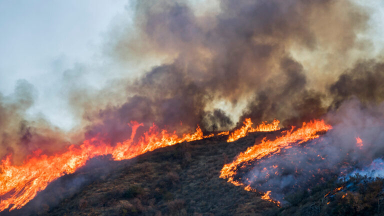 Incendio forestal al sur de Pleasanton provoca evacuaciones en el condado de Alameda